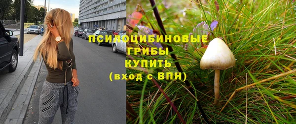 мет Снежногорск